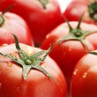中国語教室学楽　陰陽五行説　赤い食物トマト